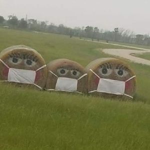 Meet your Posher, Sheila